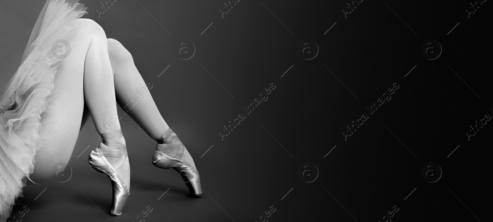 Image of Young ballerina in pointe shoes, closeup. Black and white effect. Banner design with space for text