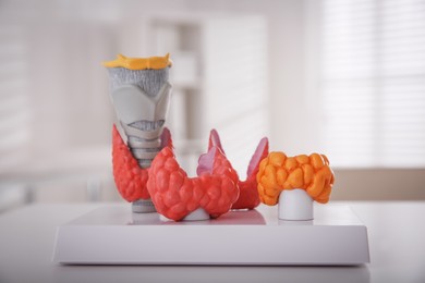 Photo of Thyroid gland models on white table in hospital