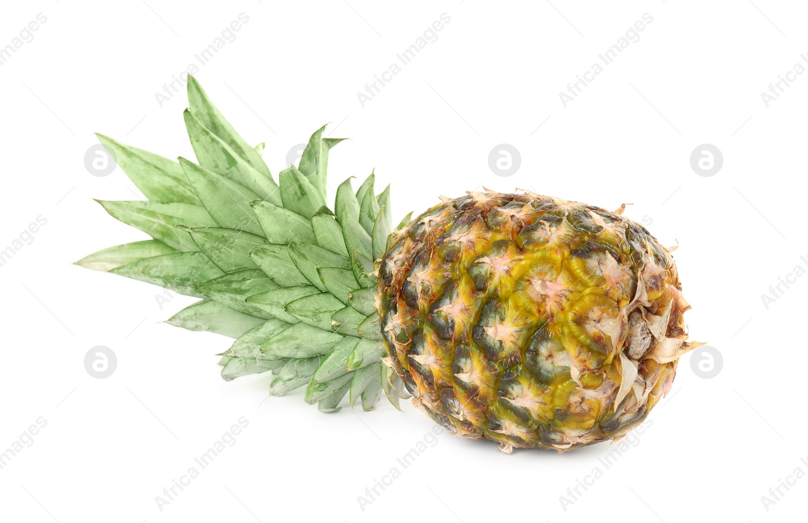 Photo of Fresh ripe juicy pineapple isolated on white