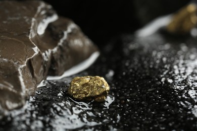 Photo of One shiny gold nugget on wet stone