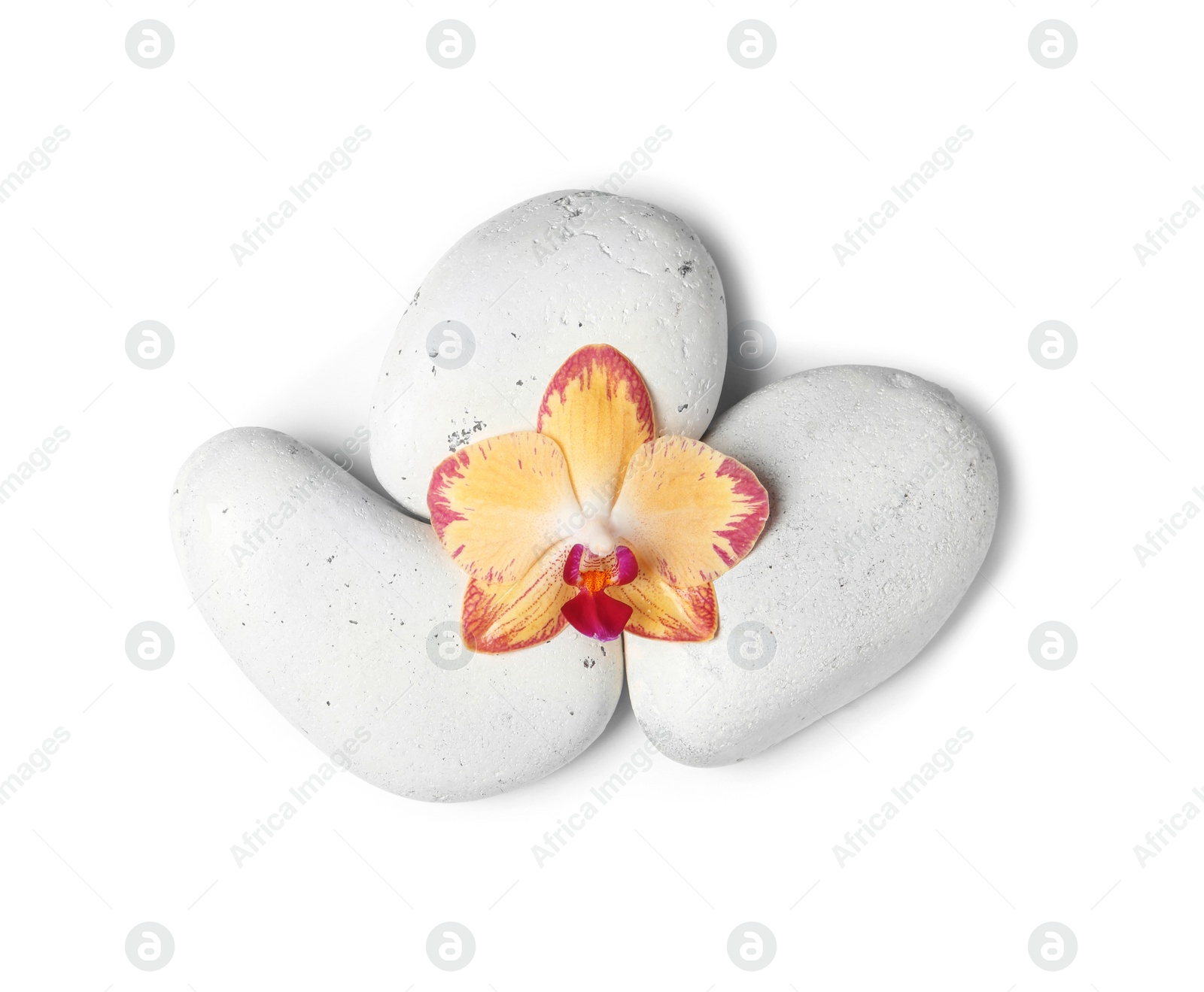 Photo of Spa stones with orchid flower on white background, top view