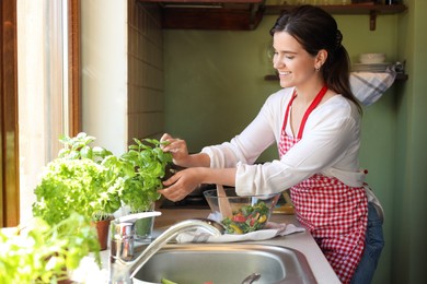 Photo of Young woman picking fresh leaves from potted basil at countertop in kitchen