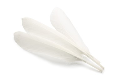 Photo of Many fluffy beautiful feathers on white background