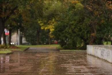 Blurred view of pathway in autumn park on rainy day