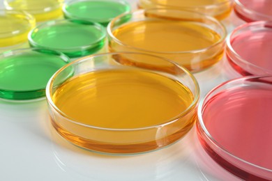 Photo of Petri dishes with colorful liquids on white table, closeup