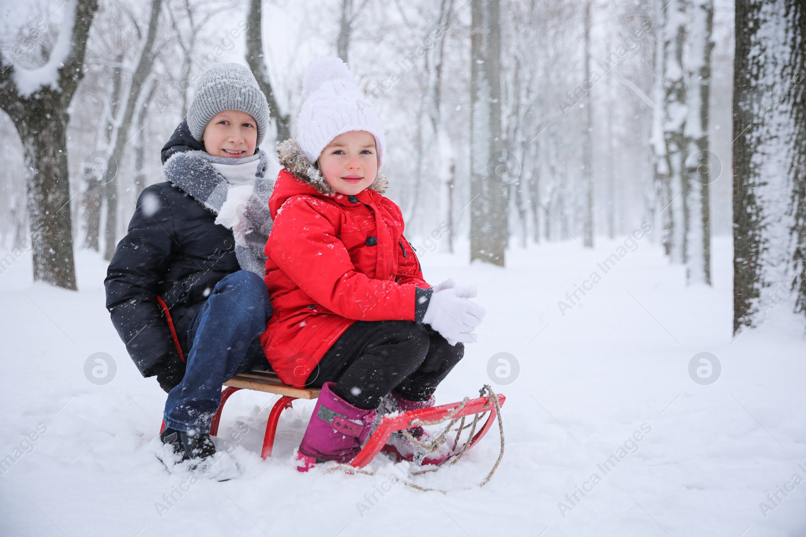 Photo of Cute little children enjoying sleigh ride outdoors on winter day, space for text