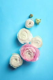 Photo of Beautiful ranunculus flowers on color background, flat lay