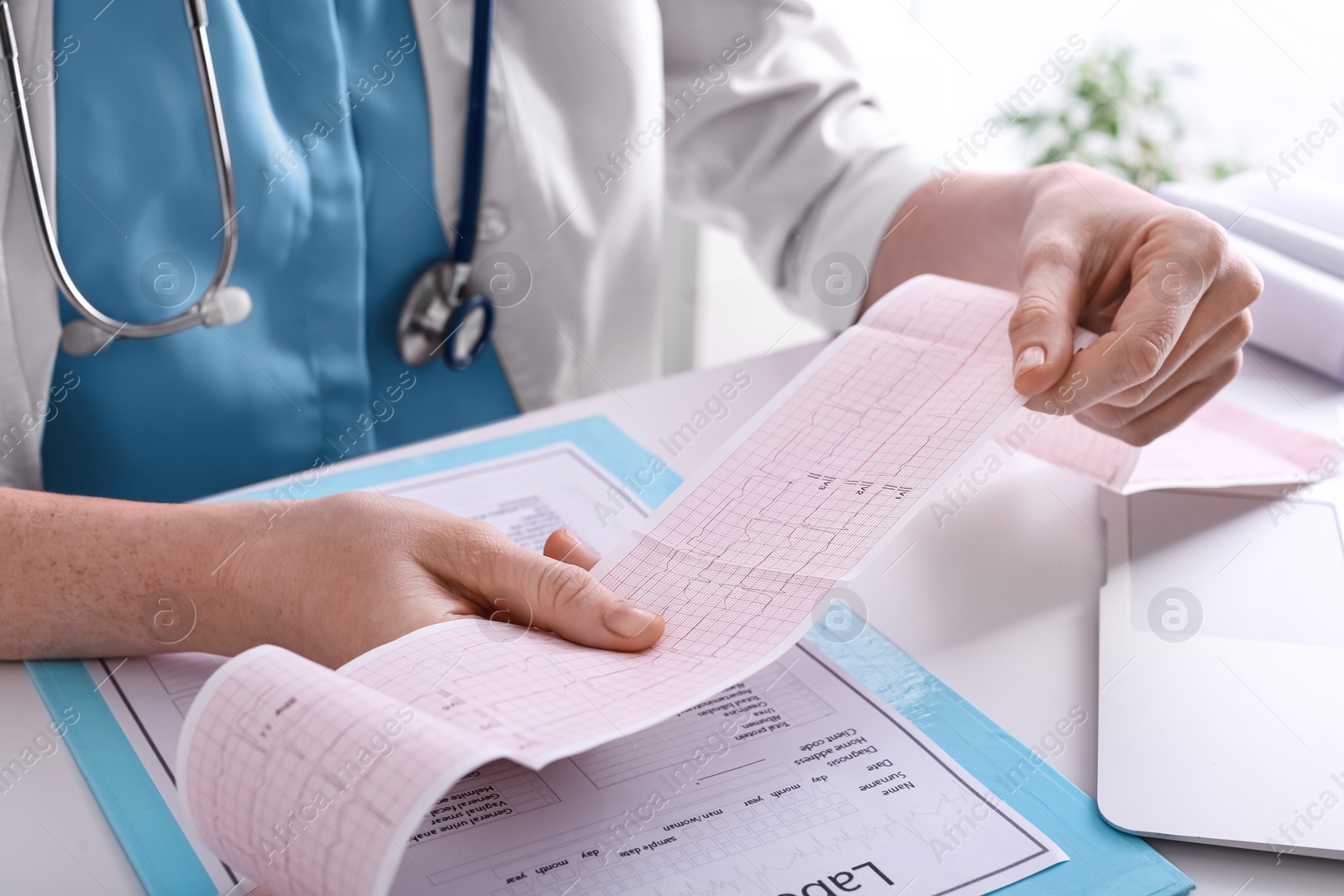 Photo of Doctor examining cardiogram at table in clinic, closeup