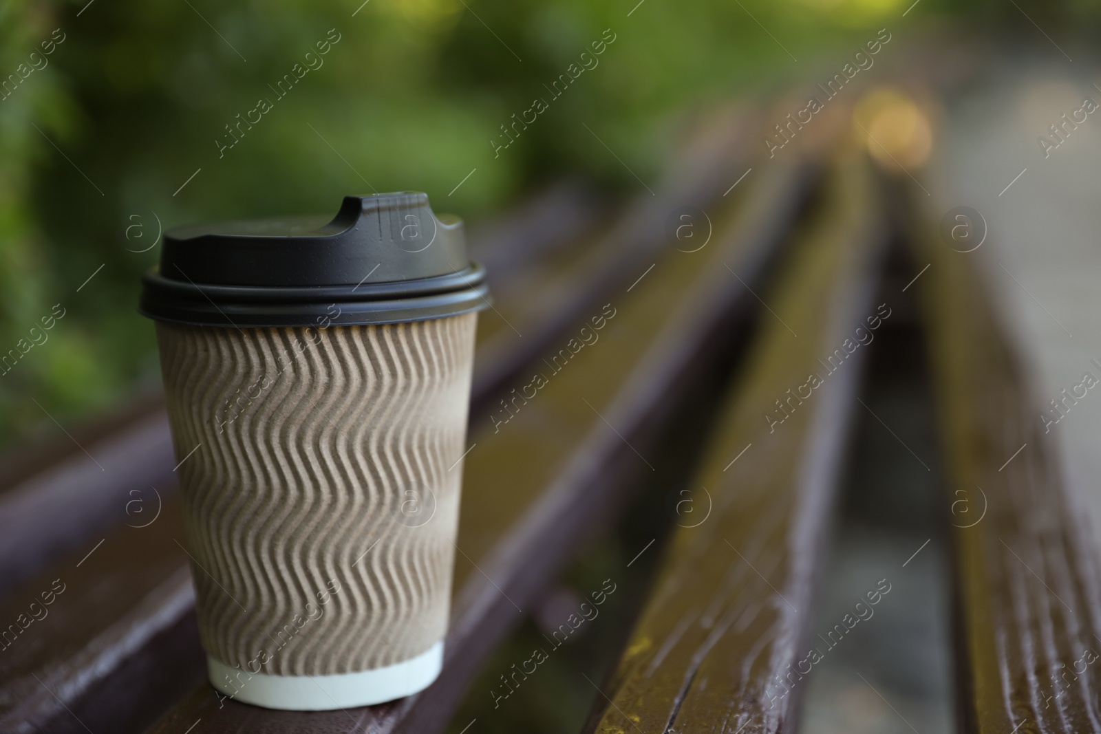 Photo of Cardboard takeaway coffee cup with plastic lid on wooden bench outdoors, space for text