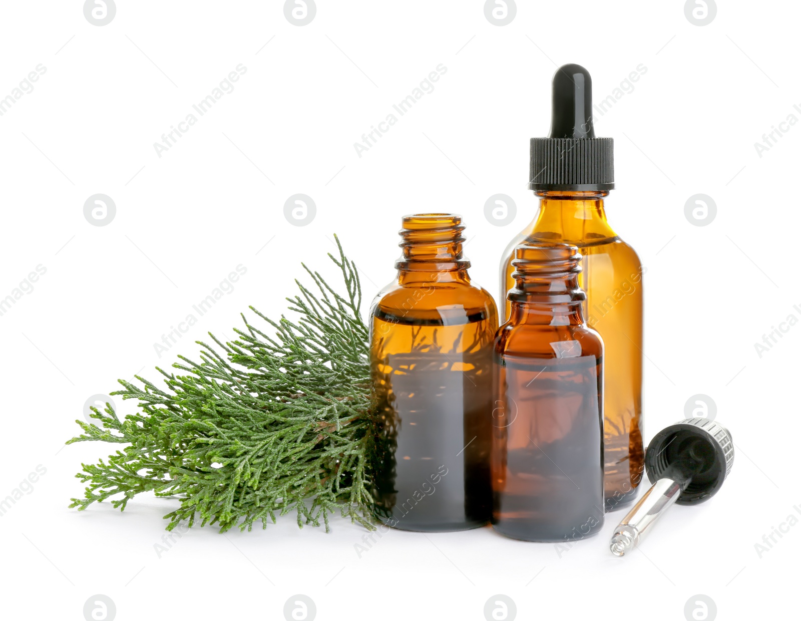 Photo of Different little bottles with essential oils and pine branches on white background