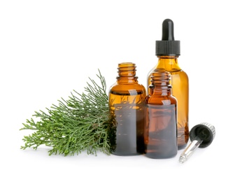 Different little bottles with essential oils and pine branches on white background