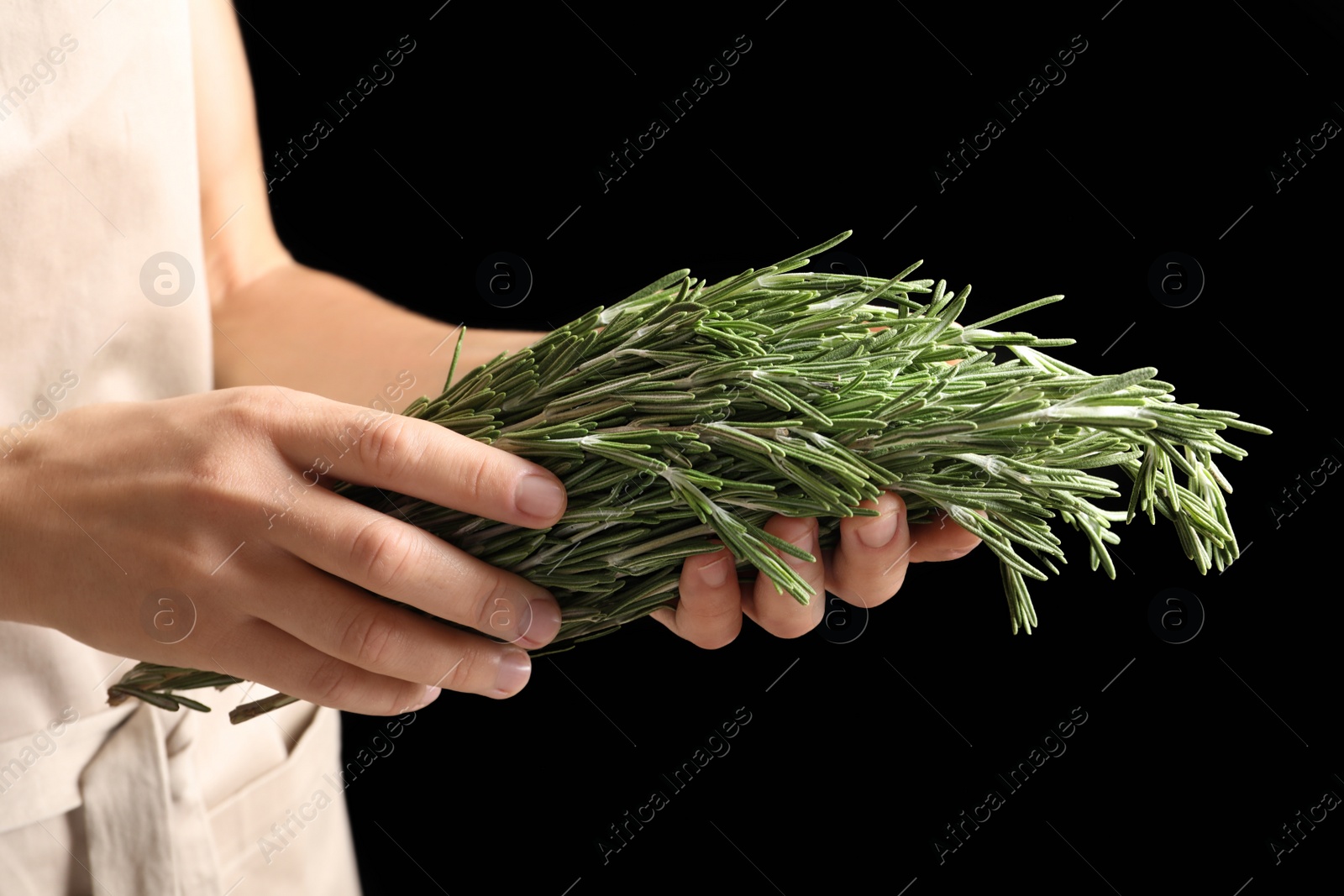 Photo of Woman holding fresh rosemary twigs on black background