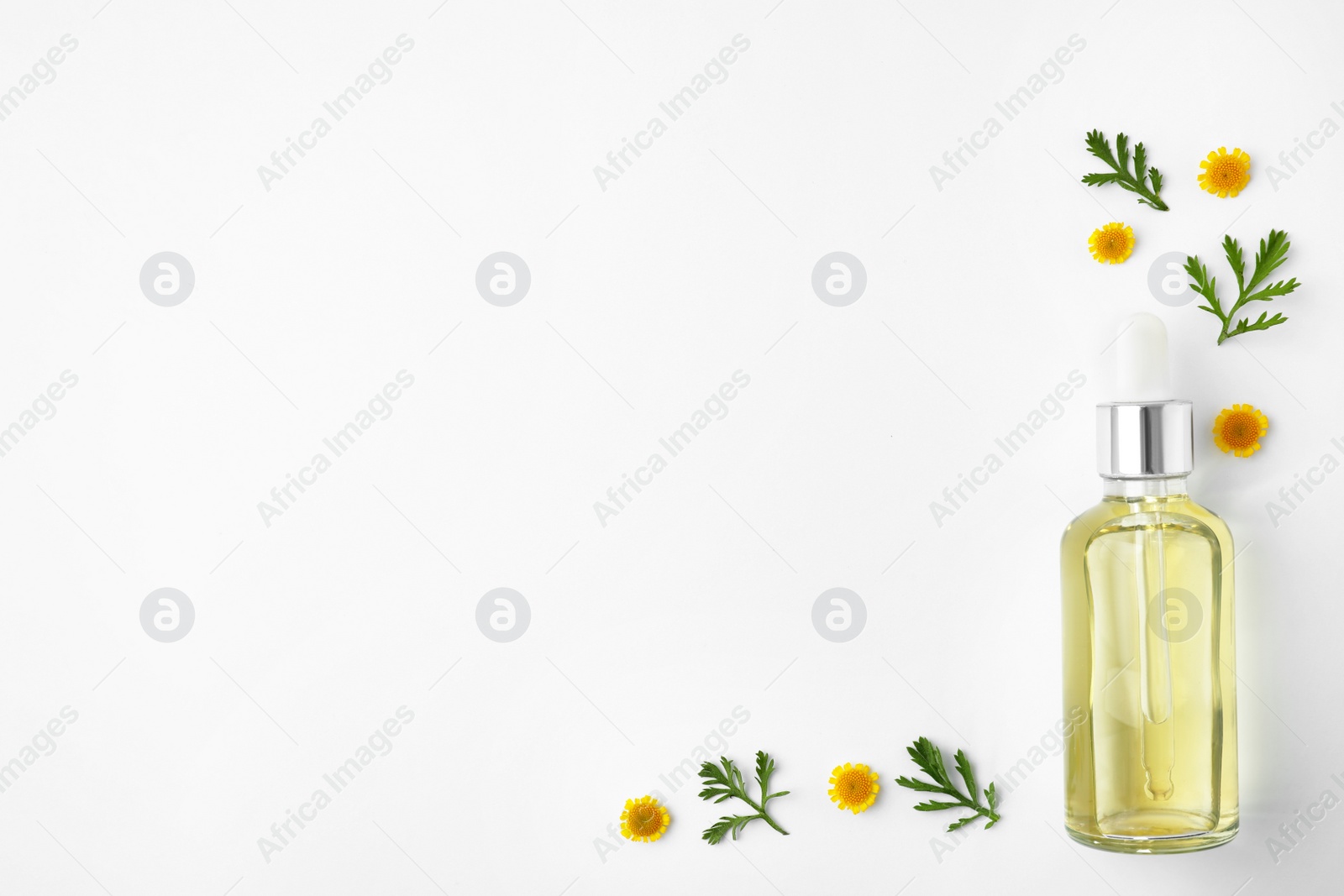 Photo of Bottle of essential oil and flowers on white background, top view