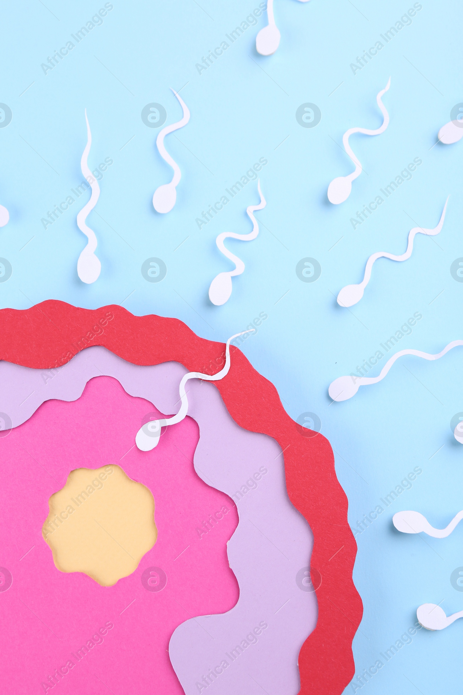 Photo of Fertilization concept. Sperm cells swimming towards egg cell on light blue background, top view