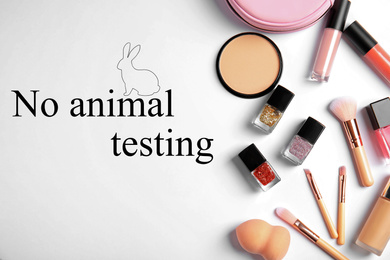 Image of Cosmetic products and text NO ANIMAL TESTING on white background, flat lay