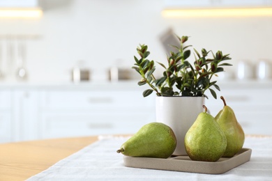 Photo of Fresh ripe pears and plant on table in kitchen. Space for text