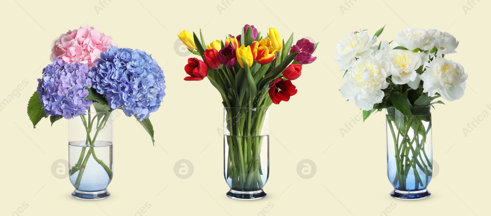 Image of Collage of stylish vase with different bouquets on beige background. Banner design