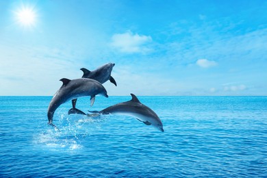 Image of Beautiful bottlenose dolphins jumping out of sea with clear blue water on sunny day 