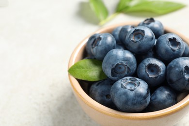 Photo of Tasty fresh blueberries in bowl on light grey table, closeup. Space for text