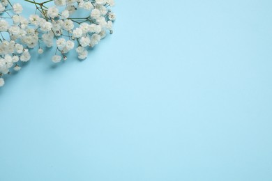 Photo of Beautiful gypsophila on light blue background, space for text. Floral decor