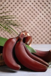 Photo of Tasty red baby bananas on grey table, space for text