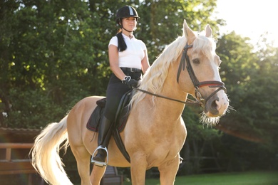 Young woman in equestrian suit riding horse outdoors on sunny day. Beautiful pet