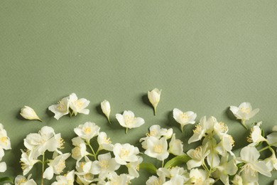 Photo of Beautiful jasmine flowers on pale green background, flat lay. Space for text