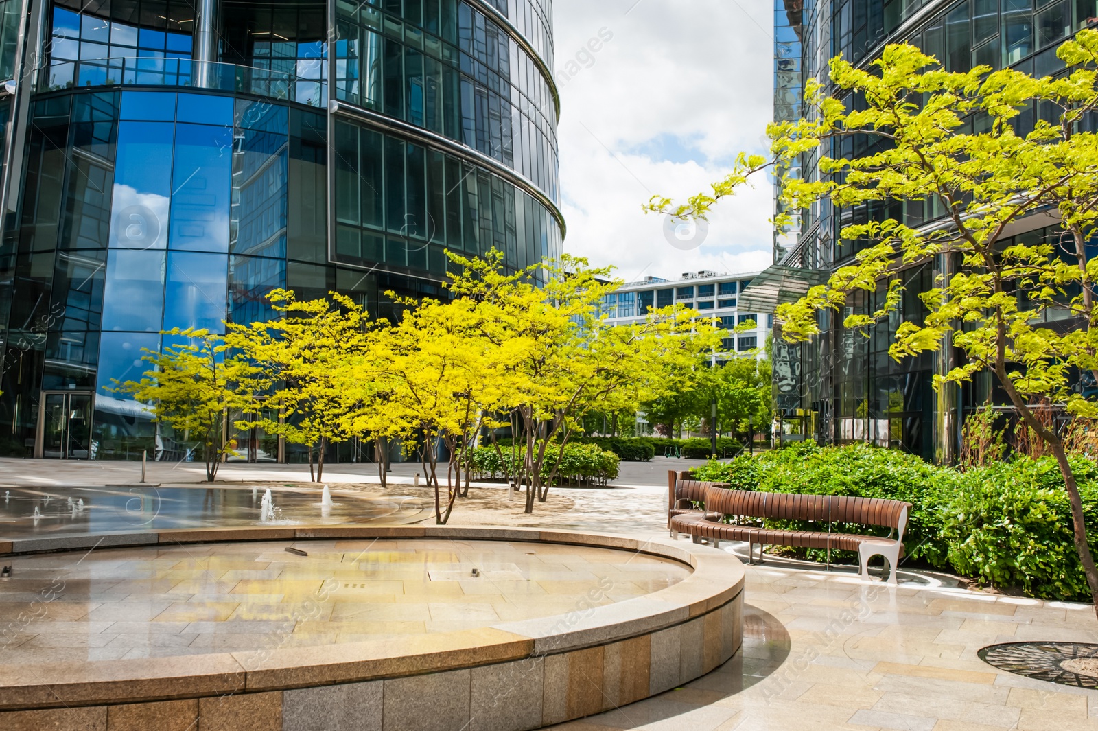 Photo of Beautiful fountain and trees near buildings in city