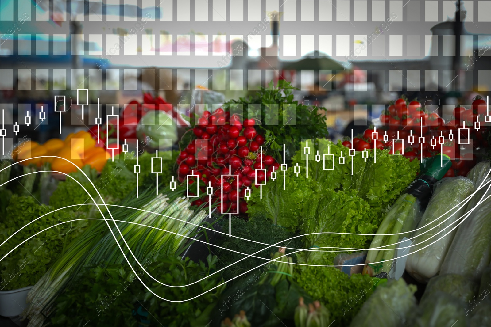 Image of Fresh ripe vegetables and herbs on counter at wholesale market