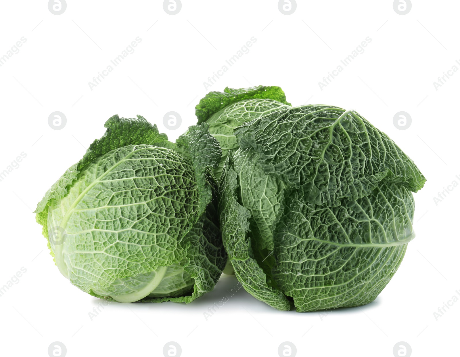 Photo of Fresh green savoy cabbages on white background