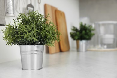 Beautiful potted artificial plant on countertop in kitchen, space for text. Home decor