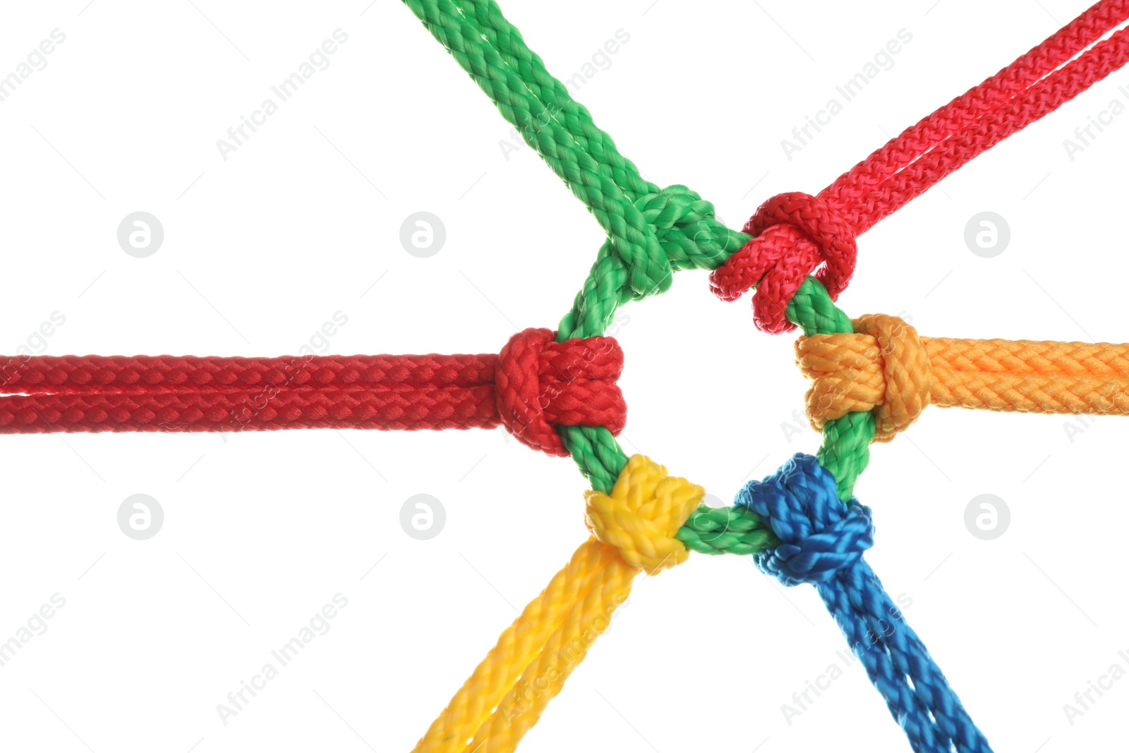 Photo of Colorful ropes tied together isolated on white. Unity concept