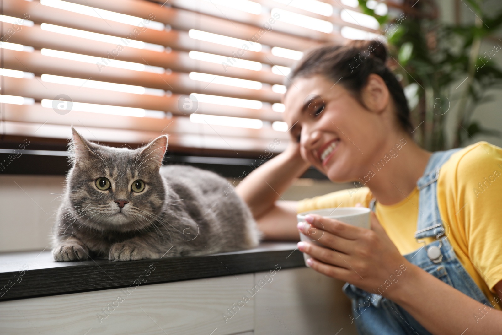 Photo of Young woman with cute cat at home. Pet and owner