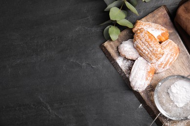 Delicious madeleine cakes with powdered sugar on black table, flat lay. Space for text