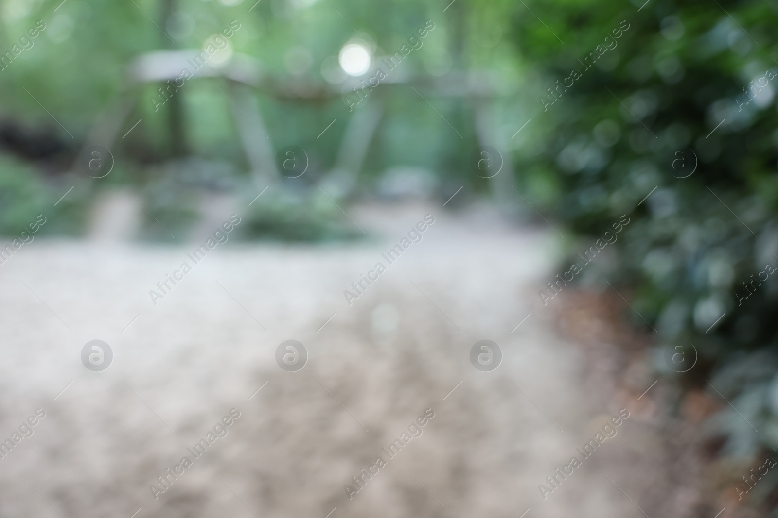 Photo of Blurred view of green trees in forest