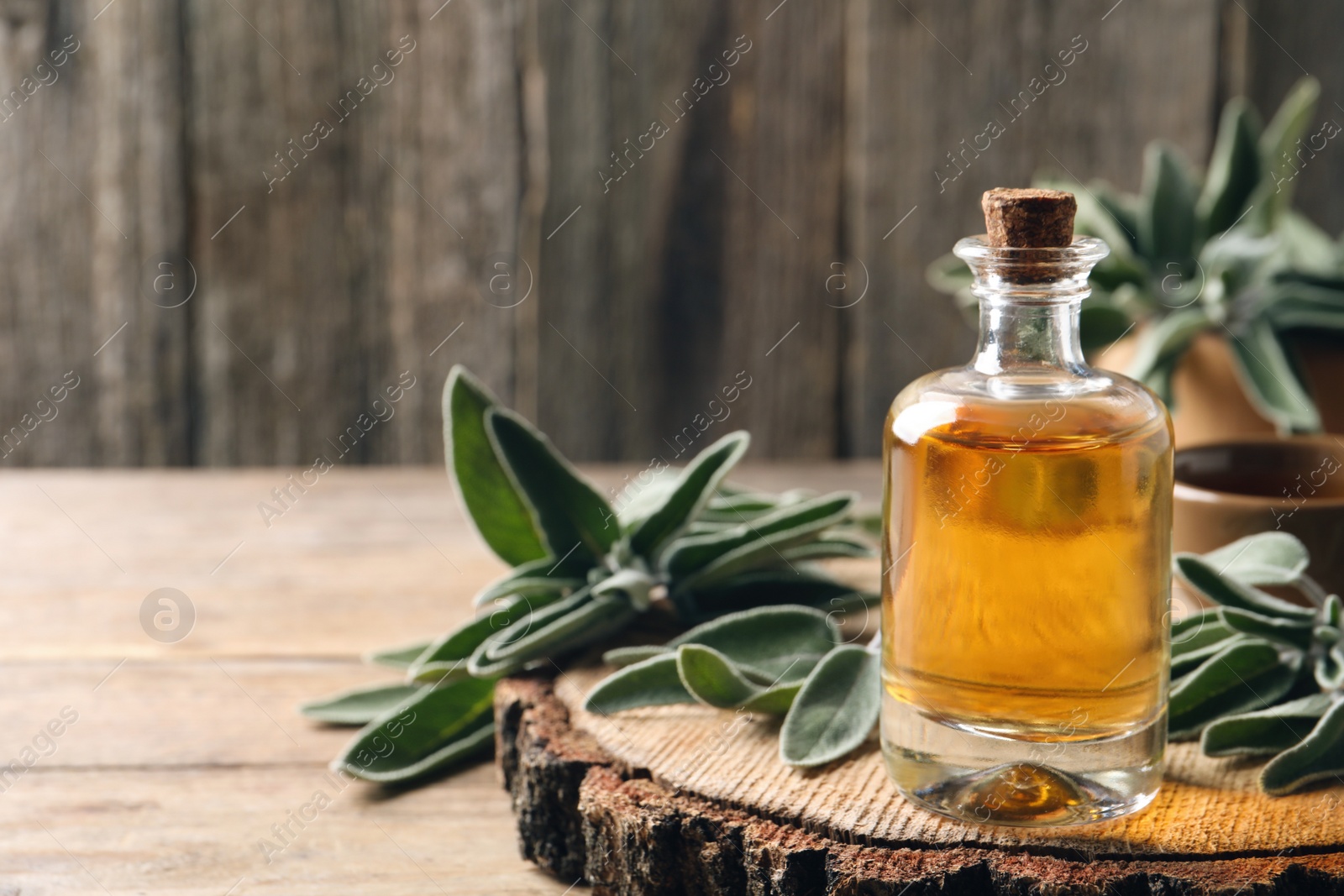 Photo of Bottle of essential sage oil and twigs on wooden table. Space for text