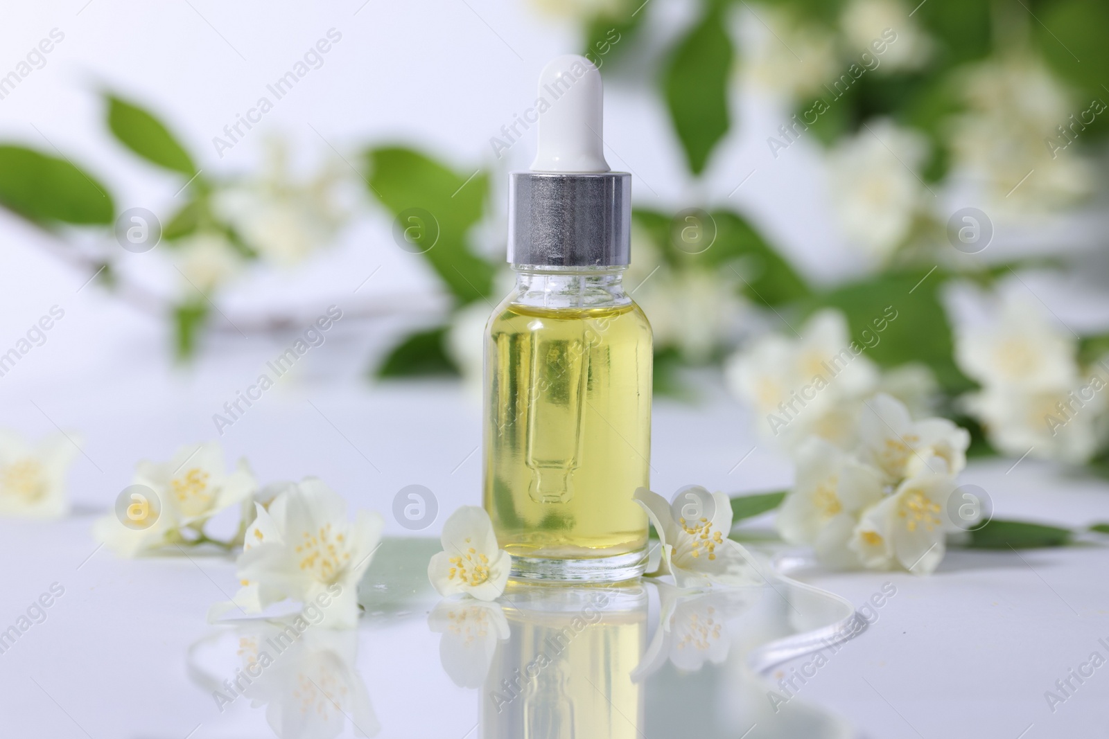 Photo of Essential oil in bottle and beautiful jasmine flowers on white background