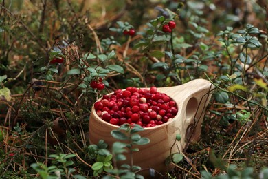 Photo of Wooden cup with many tasty ripe lingonberries in forest outdoors