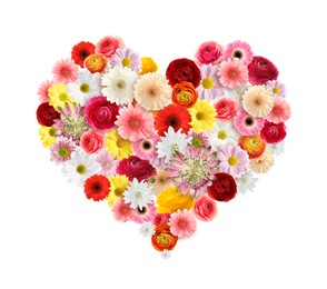 Image of Beautiful heart shaped composition made with tender flowers on white background