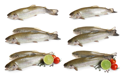 Image of Set of fresh cutthroat trout fish on white background