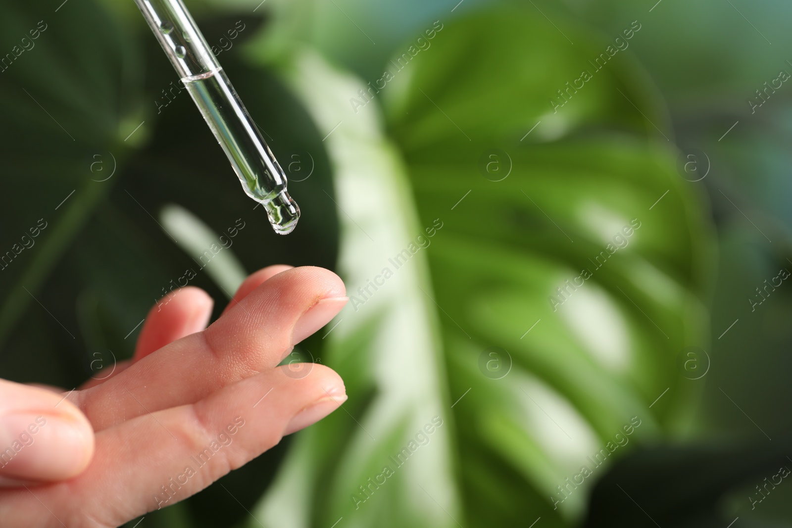 Photo of Woman applying cosmetic serum onto fingers on blurred background, closeup. Space for text