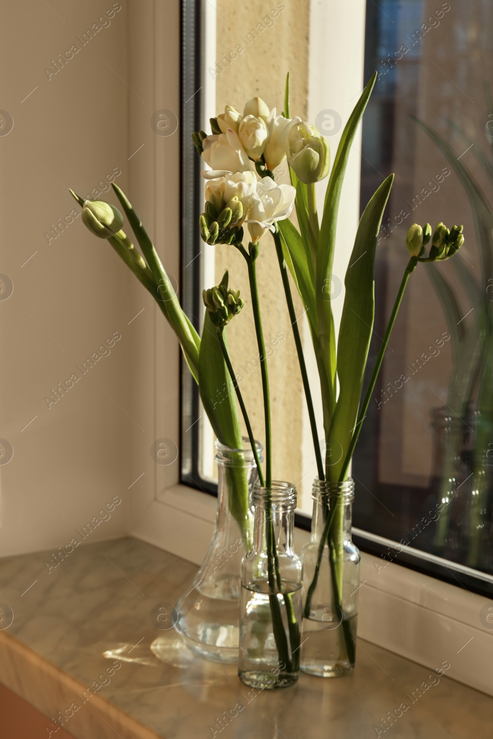 Photo of Different beautiful spring flowers on windowsill indoors