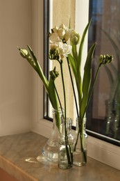 Different beautiful spring flowers on windowsill indoors