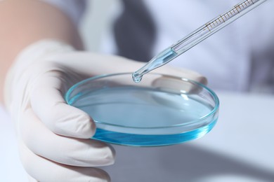 Scientist dripping liquid from pipette into petri dish at white table, closeup