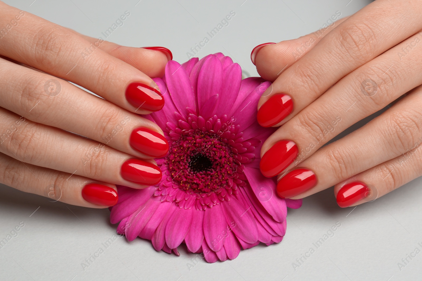 Photo of Woman with red polish on nails touching flower on white background, closeup