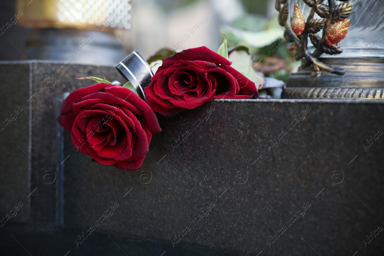 Photo of Red roses and grave light on grey granite tombstone outdoors, space for text. Funeral ceremony