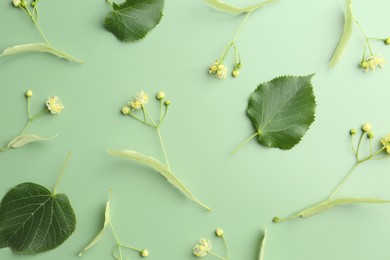 Beautiful linden blossoms and leaves on green background, flat lay