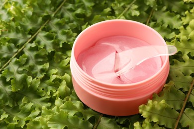 Photo of Jar of under eye patches with spoon on green fern leaves, closeup. Cosmetic product