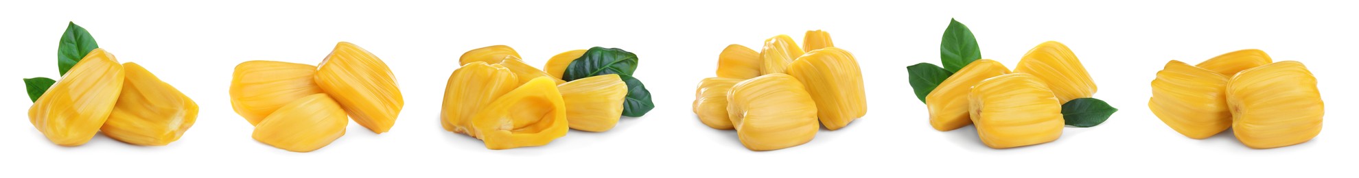 Delicious exotic jackfruit bulbs on white background. Banner design