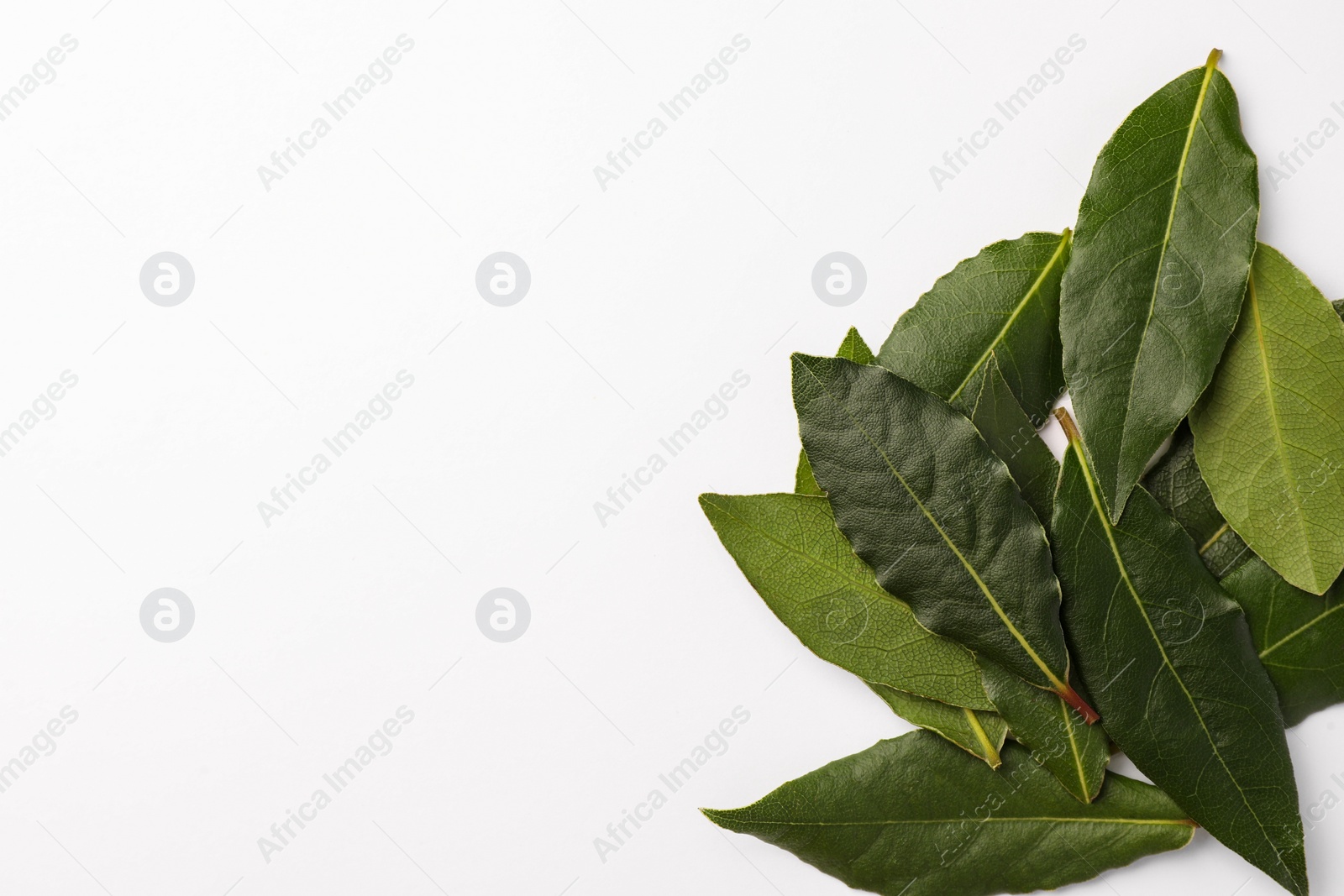 Photo of Aromatic fresh bay leaves on white background, top view. Space for text